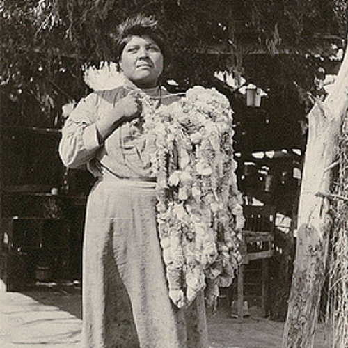 Photograph of Native American woman holding a rabbit fur cape