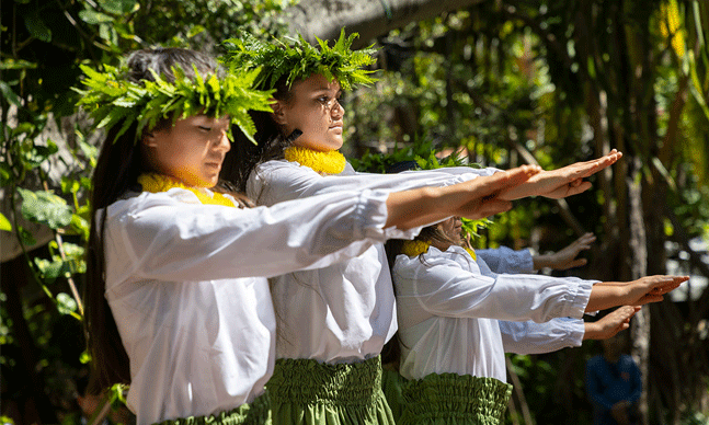 A line of hula performers dance on stage with hands stretched out in front of them, all wearing matching white blouses, green skirts, yellow leis, and leafy crowns.